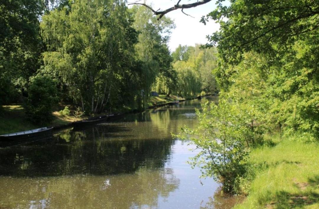 Spreewald Ferienwohnung Noack Lübben Екстериор снимка