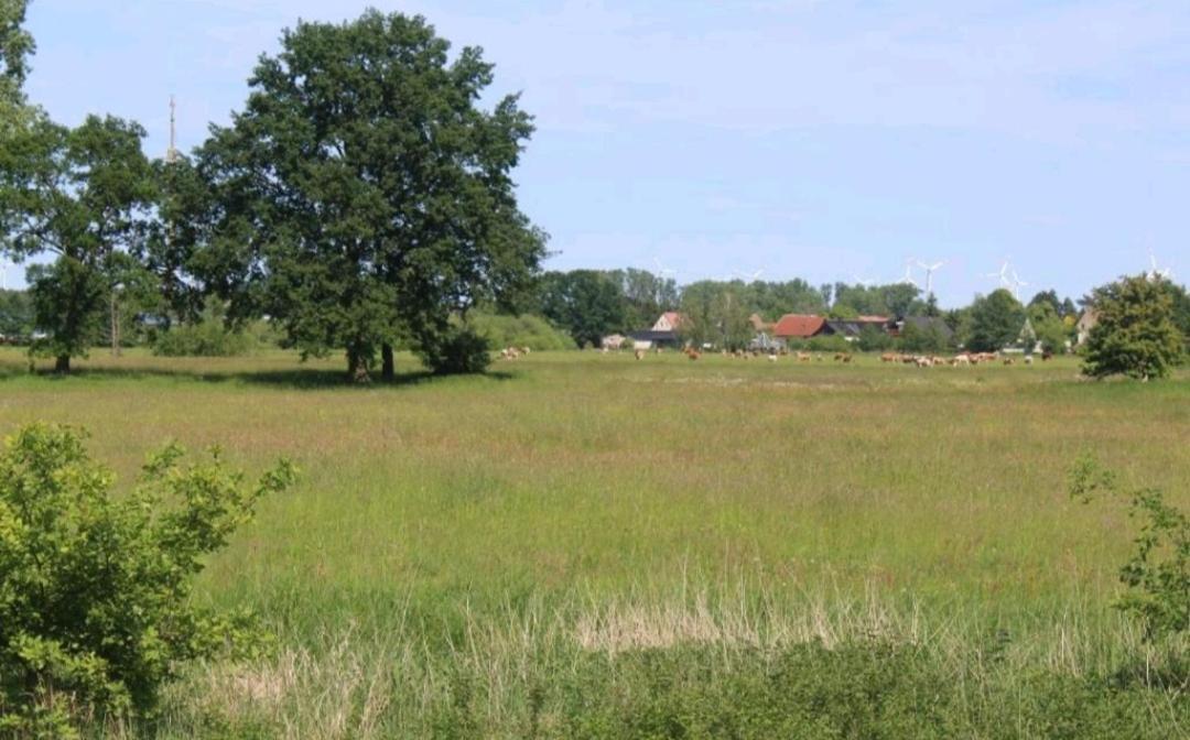 Spreewald Ferienwohnung Noack Lübben Екстериор снимка
