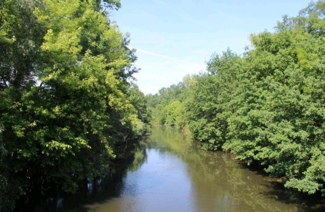 Spreewald Ferienwohnung Noack Lübben Екстериор снимка